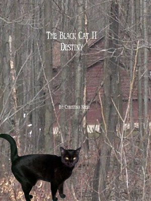 cover image of The Black Cat 2
